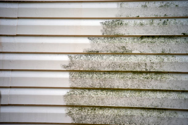 Best Same-Day Junk Removal Services  in Mccormick, SC